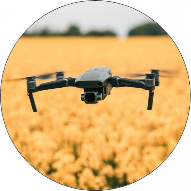 Essbare Papierdrohne auf der Wiese 19,5 cm