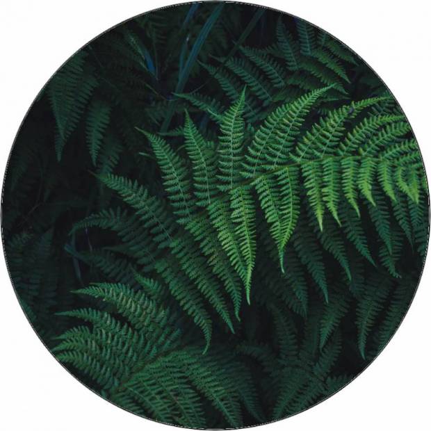 Essbarer Papier-Waldfarn 19,5 cm