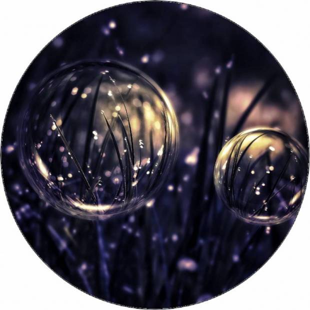 Essbare Papierblasen im Gras 19,5 cm