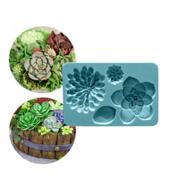 Silikonform Sukkulenten