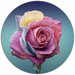 Essbare Papierrose mit Wassertropfen 19,5 cm