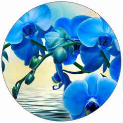 Essbares Papier blaue Orchidee 19,5 cm