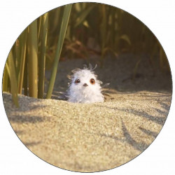 Essbares Papier Piper Vogel in Sand 19,5 cm