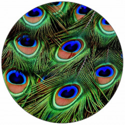 Essbare Pfauenaugen aus Papier 19,5 cm