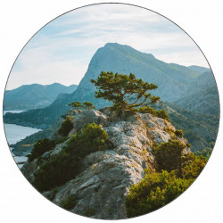 Essbarer Papierbaum auf Stein 19,5 cm