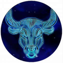 Essbares Papierschild Stier 19,5 cm