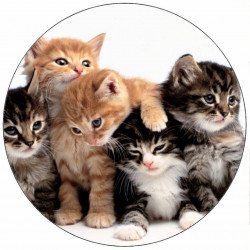 Essbare Papierkätzchen 19,5 cm