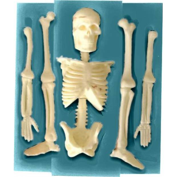 Silikonform 11x9,5cm - Skelett