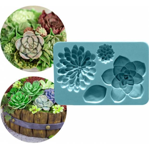 Silikonform Sukkulenten
