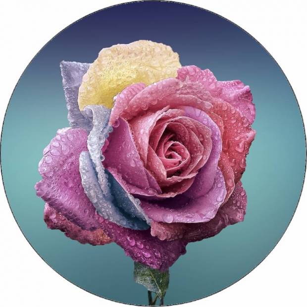 Essbare Papierrose mit Wassertropfen 19,5 cm