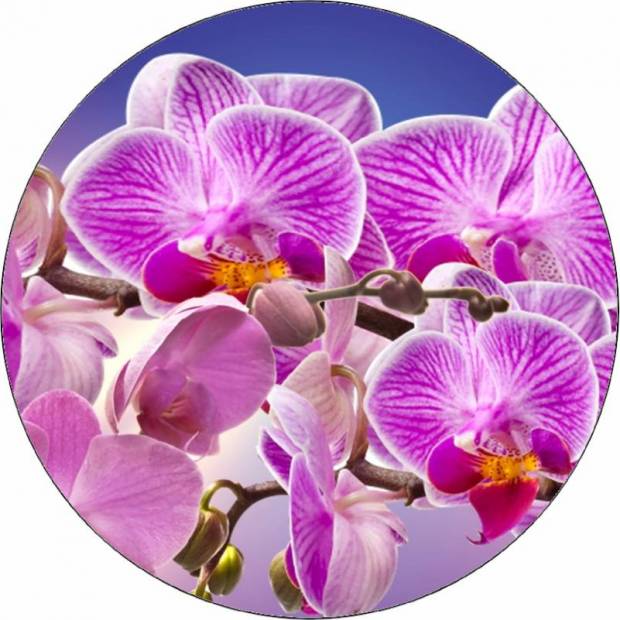Essbares Papier lila Orchidee 19,5 cm