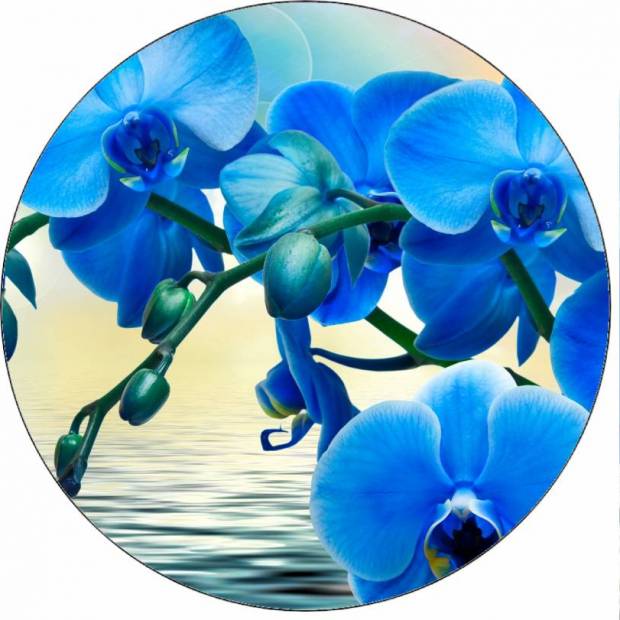 Essbares Papier blaue Orchidee 19,5 cm