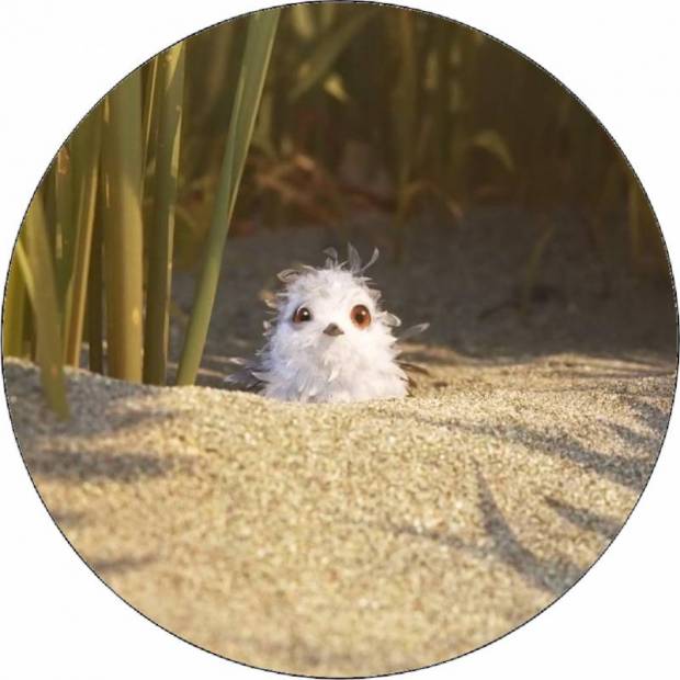 Essbares Papier Piper Vogel in Sand 19,5 cm