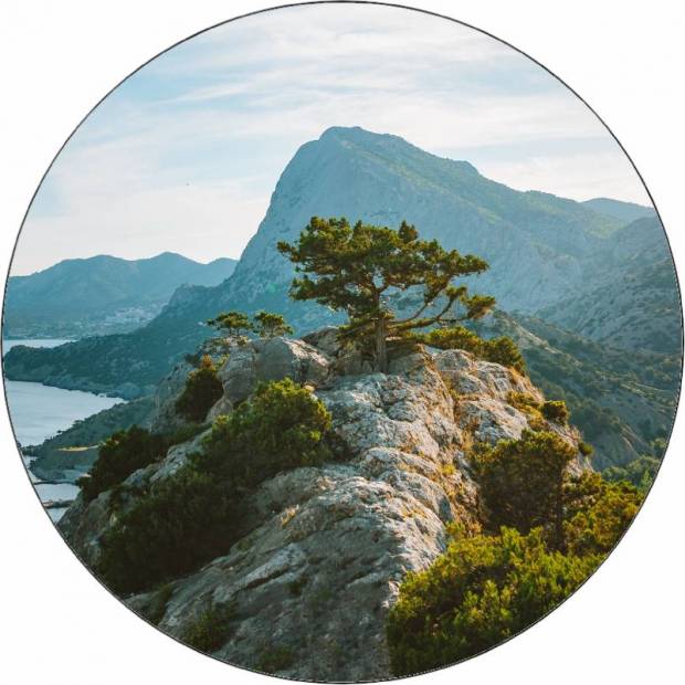 Essbarer Papierbaum auf Stein 19,5 cm