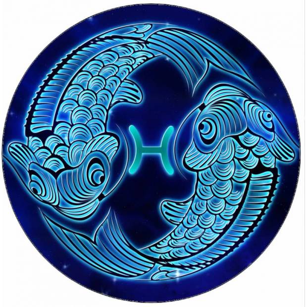 Essbares Papierfisch-Schild 19,5 cm