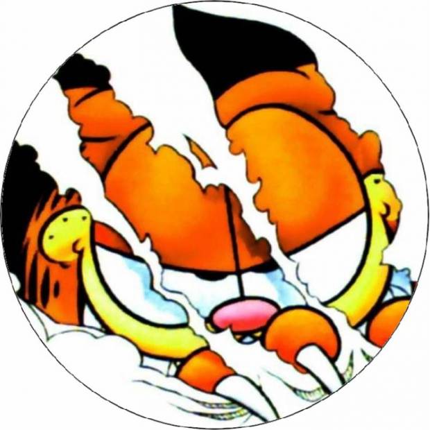 Essbares Papier gerissen Garfield 19,5 cm