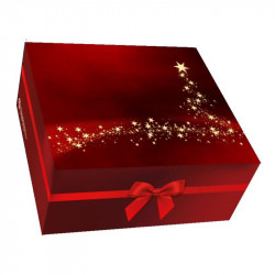 Bonbondose rot 22x20x9,7cm