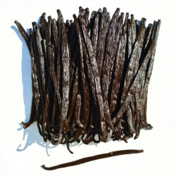 Exklusive Vanilleschote aus Uganda 250g