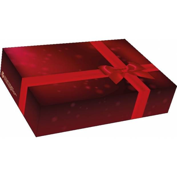 Bonbondose rot - Geschenk 22x15x5cm