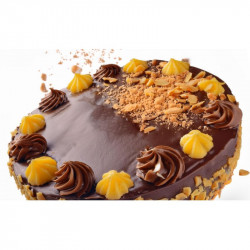 Schokoladencreme - Yema-Schokolade 6,5 kg