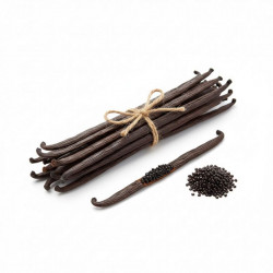 Vanillevanillestange Bourbon – Gourmet / Grade A (16 cm +) 10 Stück
