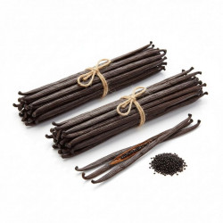 Vanilleschote Bourbon – Gourmet / Grade A (16 cm +) 100 g (ca. 30 Stück)