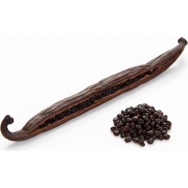 Vanille-Schote Bourbon – Gourmet / Grade A (16 cm +) 1 Stück